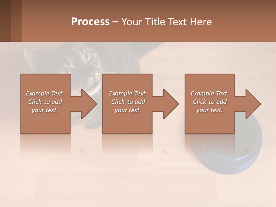 A Cat Sitting Next To A Blue Bowl On A Wooden Floor PowerPoint Template