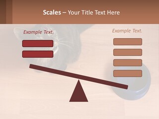 A Cat Sitting Next To A Blue Bowl On A Wooden Floor PowerPoint Template