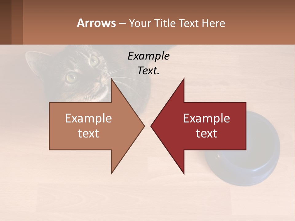 A Cat Sitting Next To A Blue Bowl On A Wooden Floor PowerPoint Template