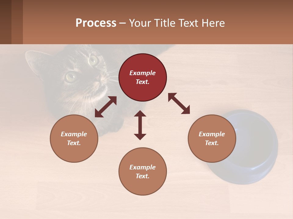 A Cat Sitting Next To A Blue Bowl On A Wooden Floor PowerPoint Template