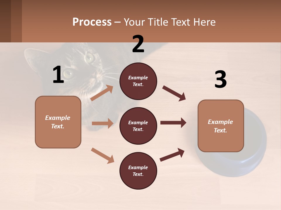 A Cat Sitting Next To A Blue Bowl On A Wooden Floor PowerPoint Template