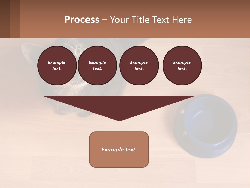 A Cat Sitting Next To A Blue Bowl On A Wooden Floor PowerPoint Template