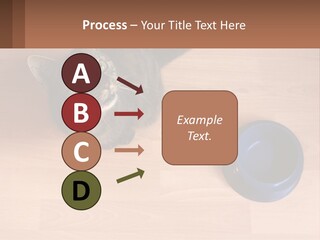 A Cat Sitting Next To A Blue Bowl On A Wooden Floor PowerPoint Template