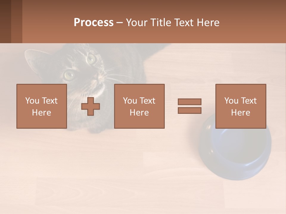 A Cat Sitting Next To A Blue Bowl On A Wooden Floor PowerPoint Template