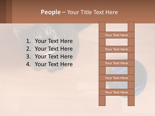 A Cat Sitting Next To A Blue Bowl On A Wooden Floor PowerPoint Template