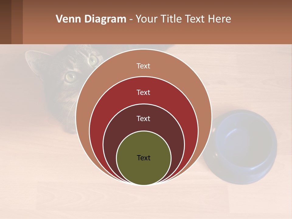 A Cat Sitting Next To A Blue Bowl On A Wooden Floor PowerPoint Template