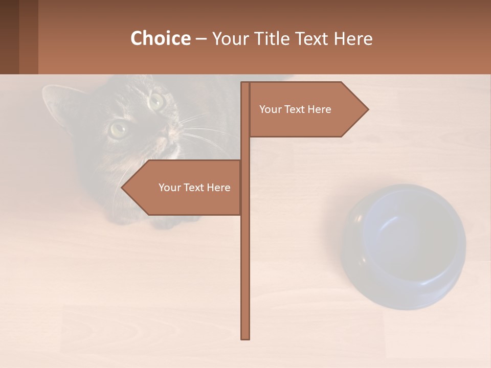 A Cat Sitting Next To A Blue Bowl On A Wooden Floor PowerPoint Template