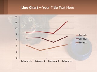 A Cat Sitting Next To A Blue Bowl On A Wooden Floor PowerPoint Template