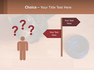 A Cat Sitting Next To A Blue Bowl On A Wooden Floor PowerPoint Template