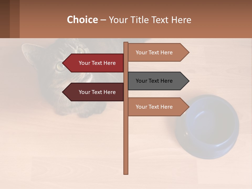 A Cat Sitting Next To A Blue Bowl On A Wooden Floor PowerPoint Template