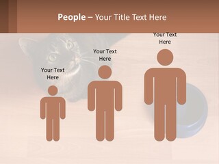 A Cat Sitting Next To A Blue Bowl On A Wooden Floor PowerPoint Template