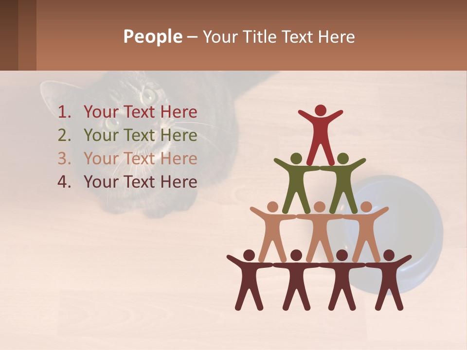 A Cat Sitting Next To A Blue Bowl On A Wooden Floor PowerPoint Template