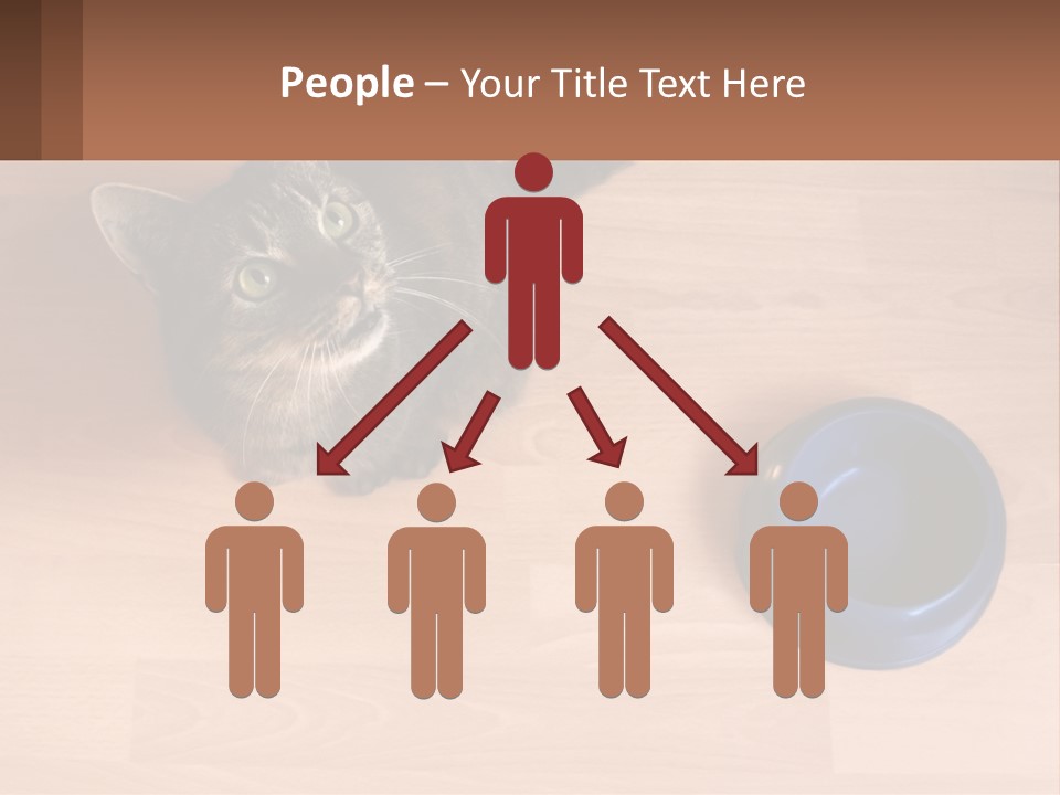 A Cat Sitting Next To A Blue Bowl On A Wooden Floor PowerPoint Template