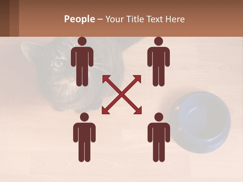 A Cat Sitting Next To A Blue Bowl On A Wooden Floor PowerPoint Template