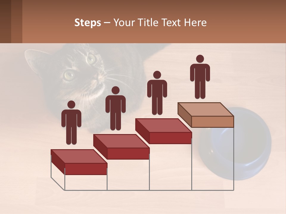 A Cat Sitting Next To A Blue Bowl On A Wooden Floor PowerPoint Template