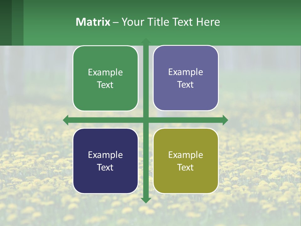 A Field Of Yellow Flowers With Trees In The Background PowerPoint Template