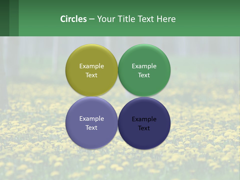 A Field Of Yellow Flowers With Trees In The Background PowerPoint Template