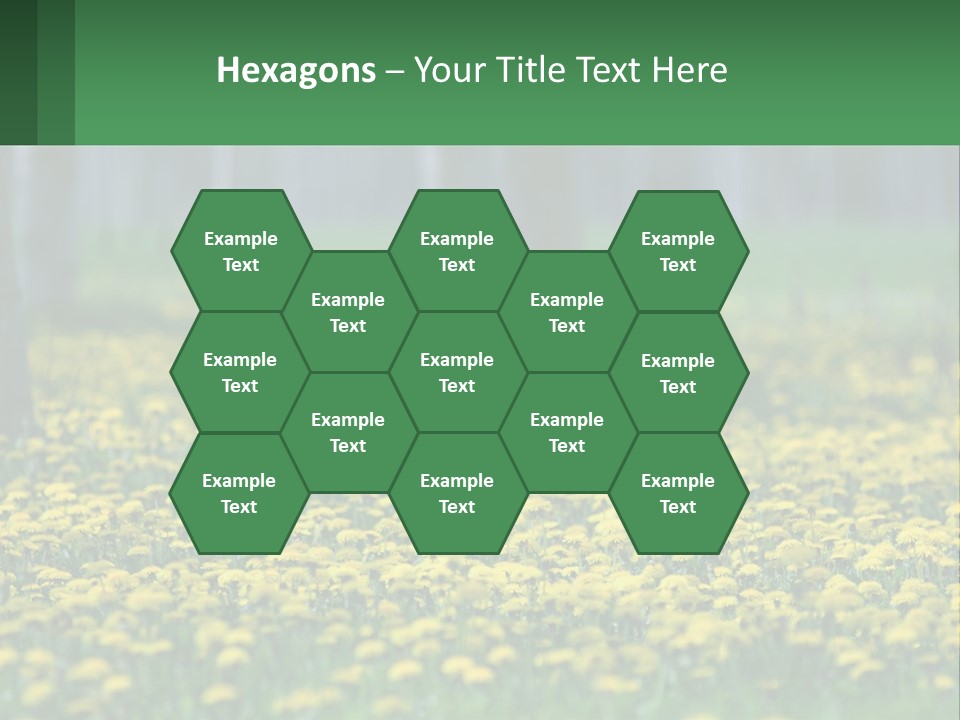 A Field Of Yellow Flowers With Trees In The Background PowerPoint Template