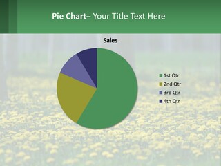A Field Of Yellow Flowers With Trees In The Background PowerPoint Template