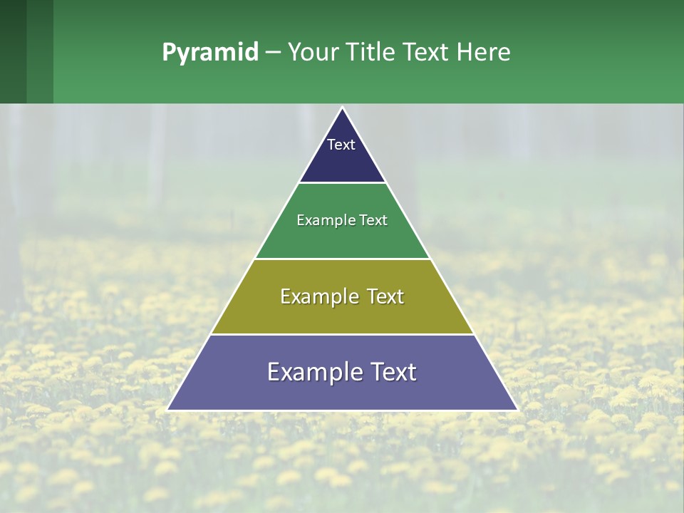 A Field Of Yellow Flowers With Trees In The Background PowerPoint Template