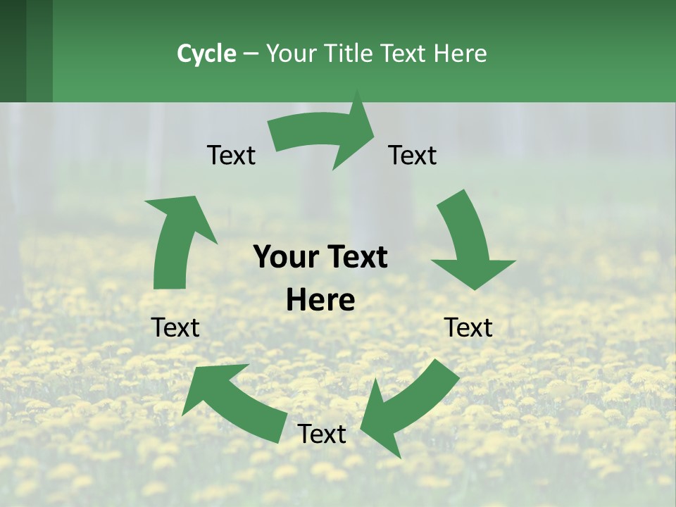 A Field Of Yellow Flowers With Trees In The Background PowerPoint Template