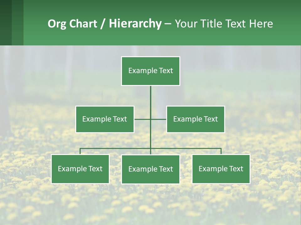 A Field Of Yellow Flowers With Trees In The Background PowerPoint Template