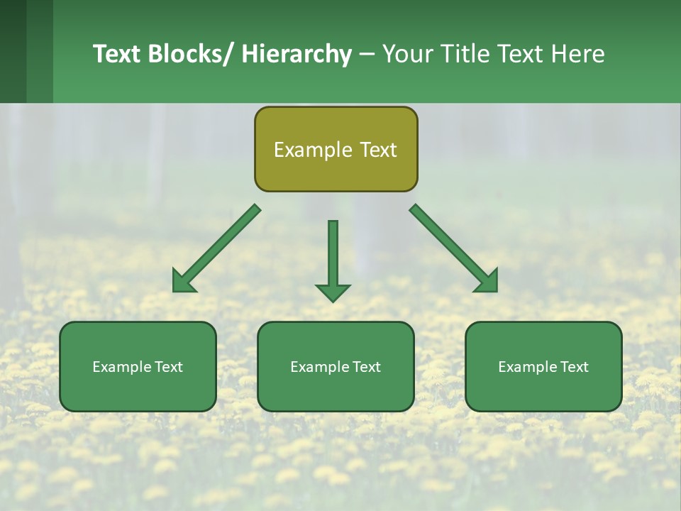 A Field Of Yellow Flowers With Trees In The Background PowerPoint Template