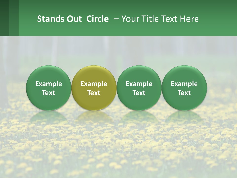 A Field Of Yellow Flowers With Trees In The Background PowerPoint Template