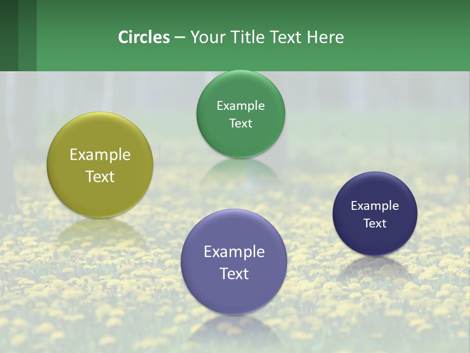 A Field Of Yellow Flowers With Trees In The Background PowerPoint Template