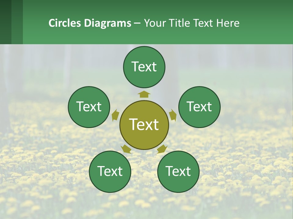 A Field Of Yellow Flowers With Trees In The Background PowerPoint Template