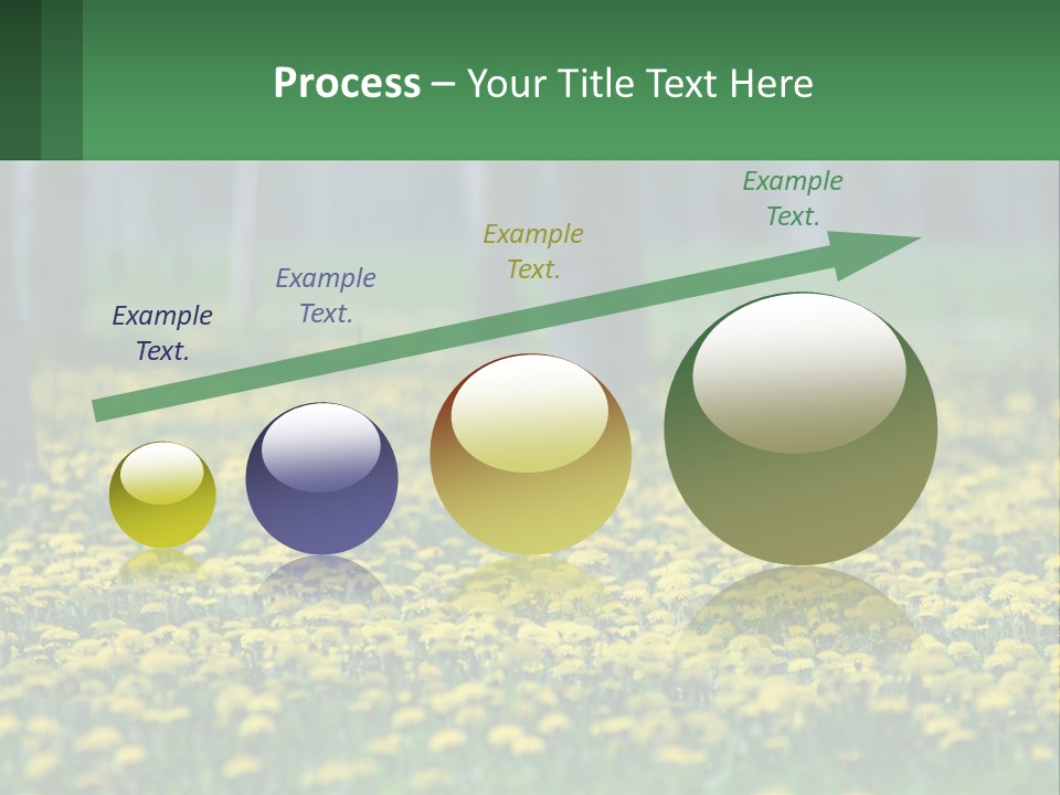 A Field Of Yellow Flowers With Trees In The Background PowerPoint Template