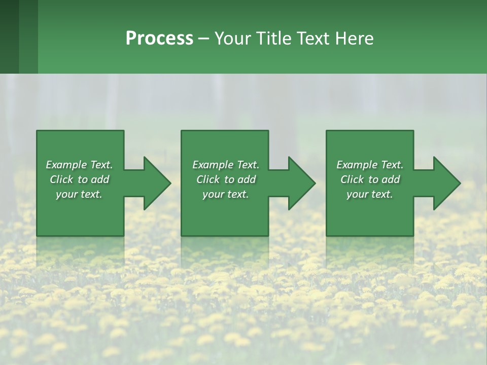 A Field Of Yellow Flowers With Trees In The Background PowerPoint Template