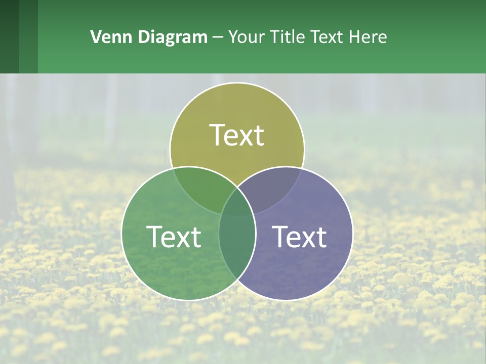A Field Of Yellow Flowers With Trees In The Background PowerPoint Template