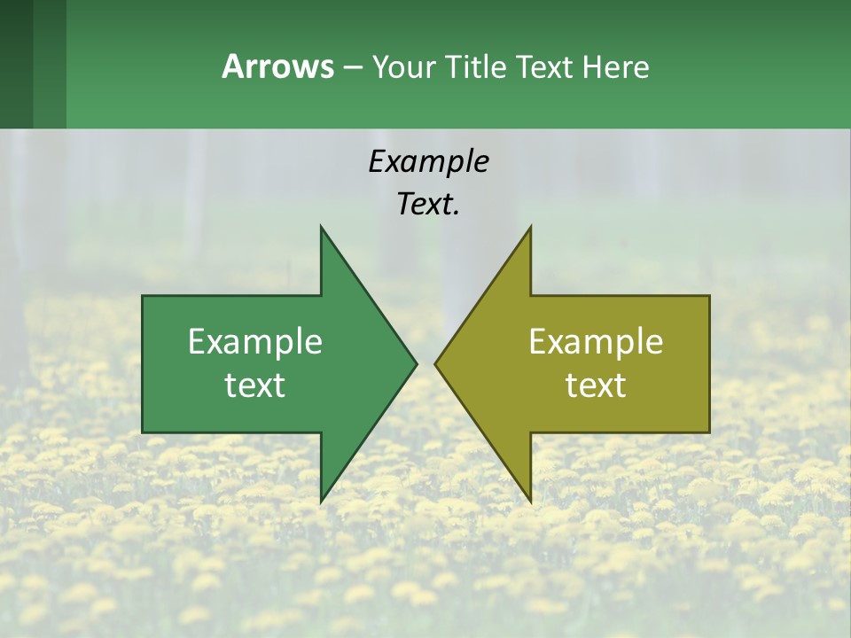 A Field Of Yellow Flowers With Trees In The Background PowerPoint Template
