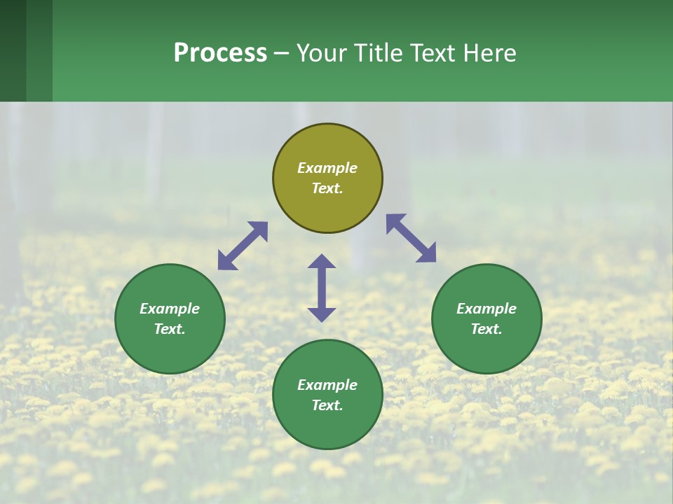 A Field Of Yellow Flowers With Trees In The Background PowerPoint Template