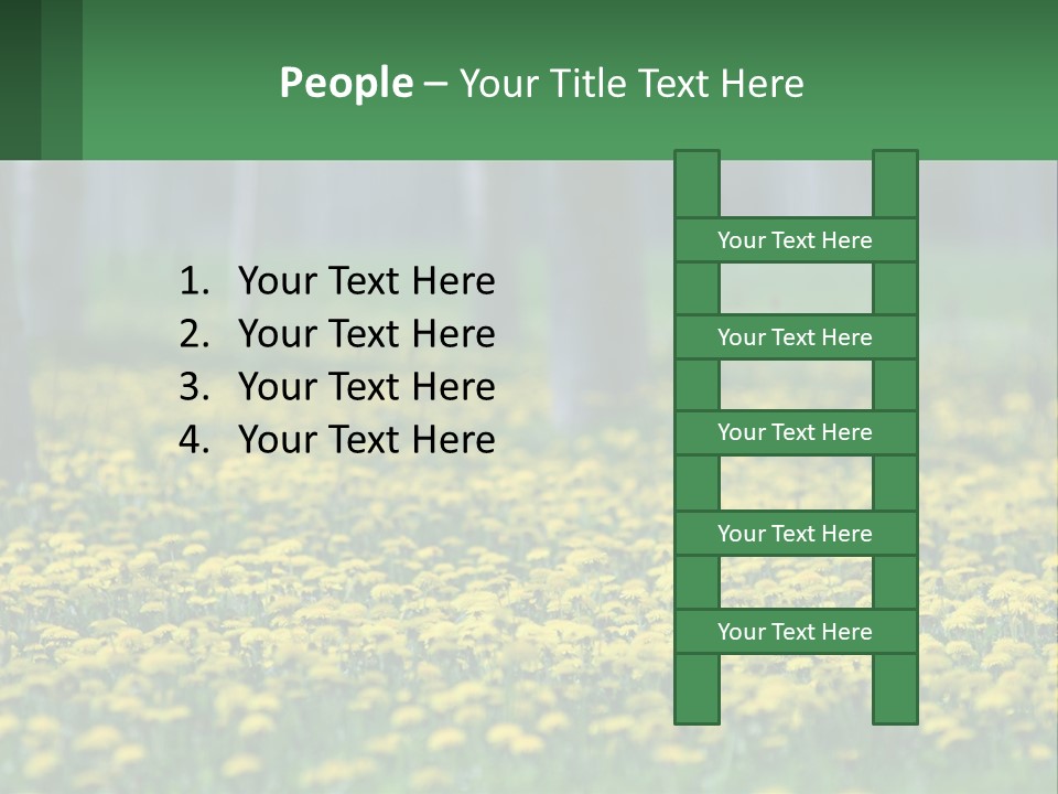 A Field Of Yellow Flowers With Trees In The Background PowerPoint Template