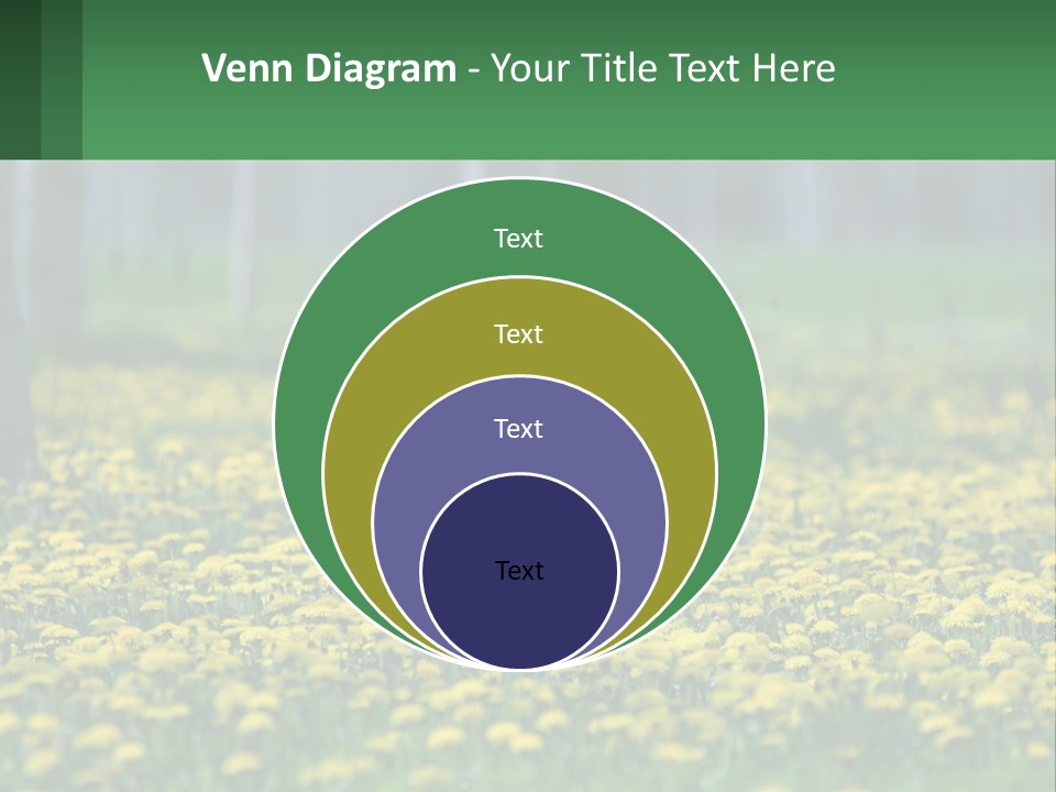 A Field Of Yellow Flowers With Trees In The Background PowerPoint Template