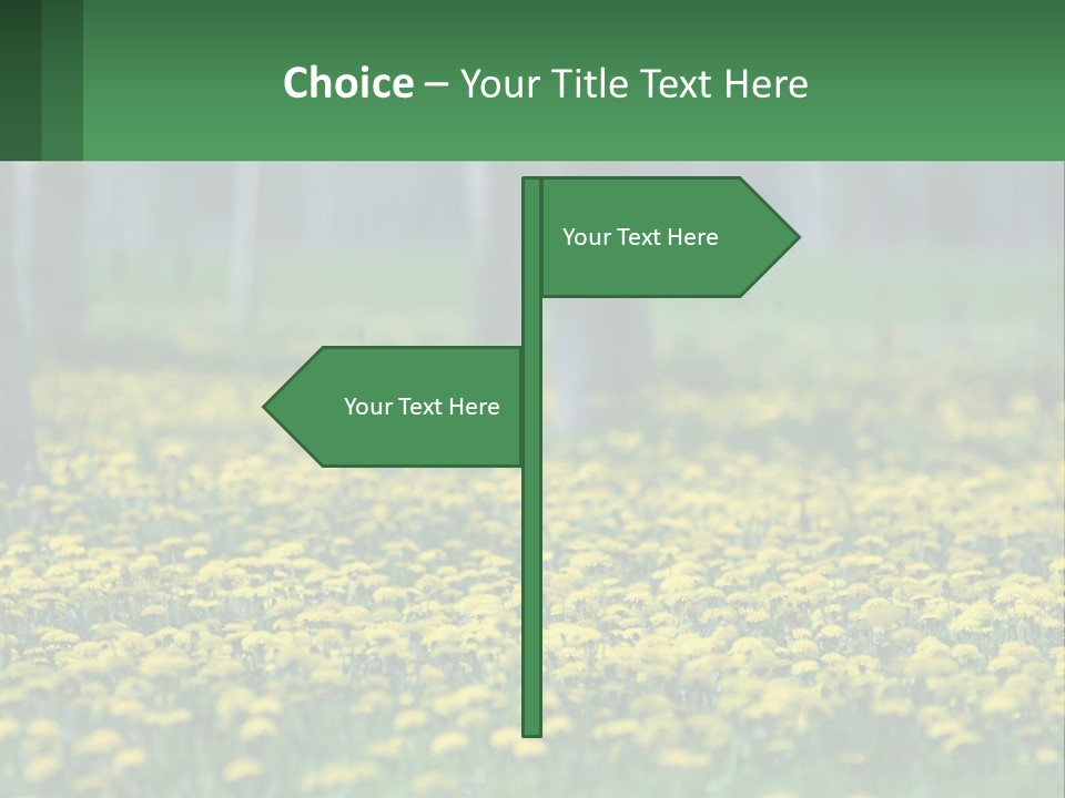 A Field Of Yellow Flowers With Trees In The Background PowerPoint Template