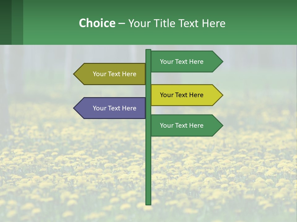A Field Of Yellow Flowers With Trees In The Background PowerPoint Template