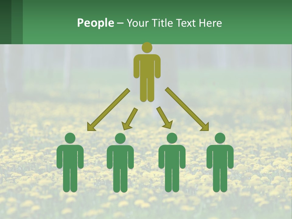 A Field Of Yellow Flowers With Trees In The Background PowerPoint Template