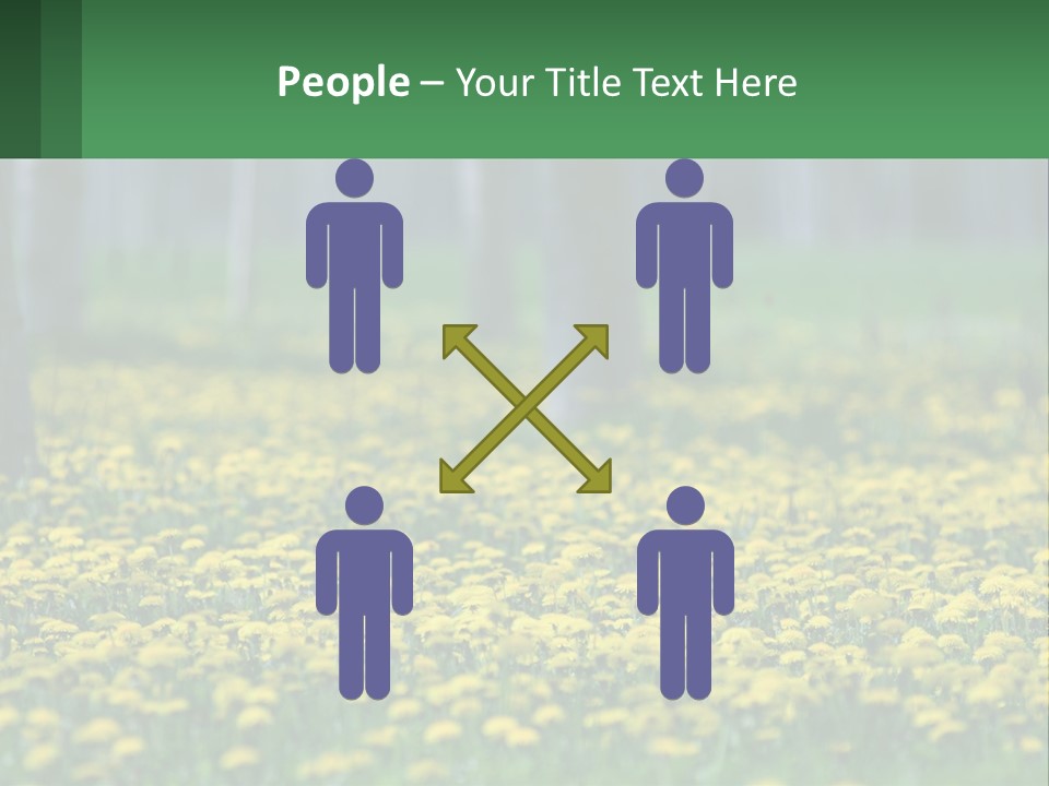 A Field Of Yellow Flowers With Trees In The Background PowerPoint Template