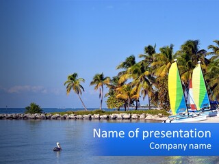 A Colorful Sailboat On The Ocean With Palm Trees In The Background PowerPoint Template