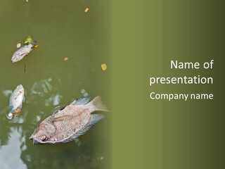 A Group Of Fish Floating On Top Of A Body Of Water PowerPoint Template