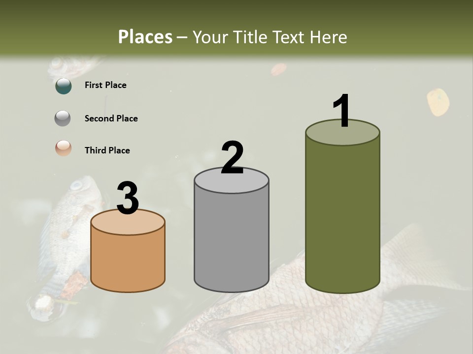 A Group Of Fish Floating On Top Of A Body Of Water PowerPoint Template