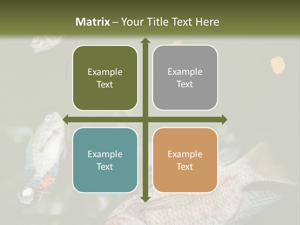 A Group Of Fish Floating On Top Of A Body Of Water PowerPoint Template