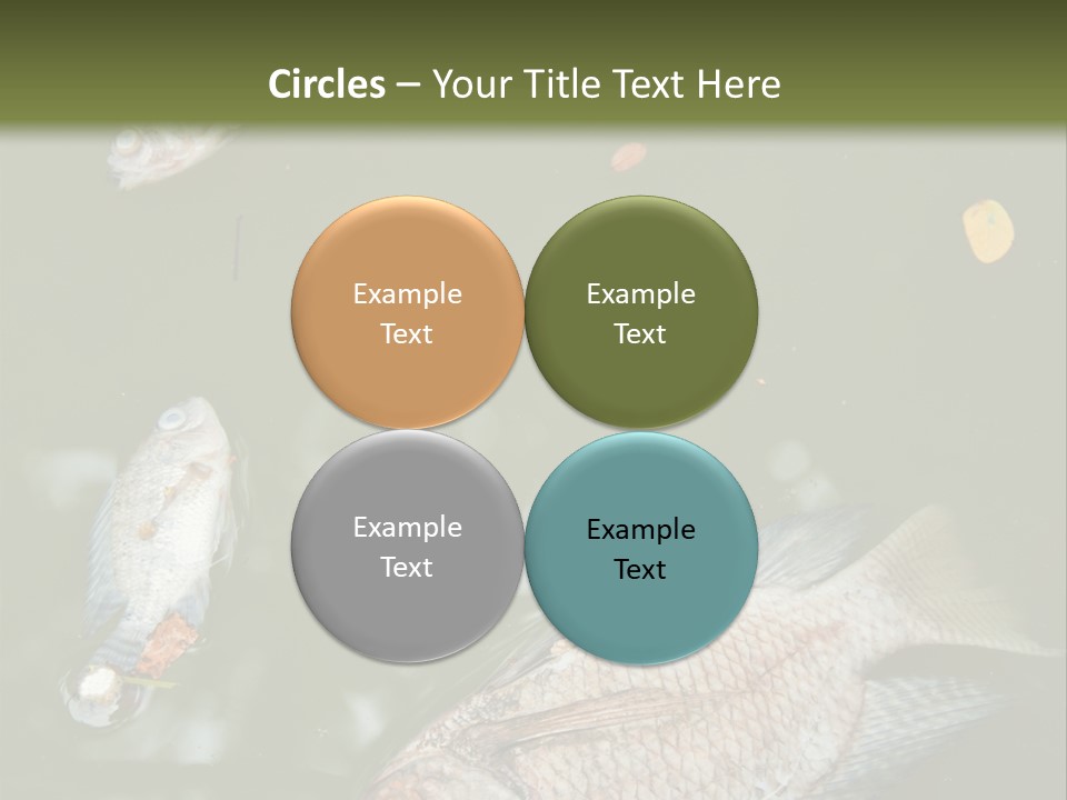 A Group Of Fish Floating On Top Of A Body Of Water PowerPoint Template