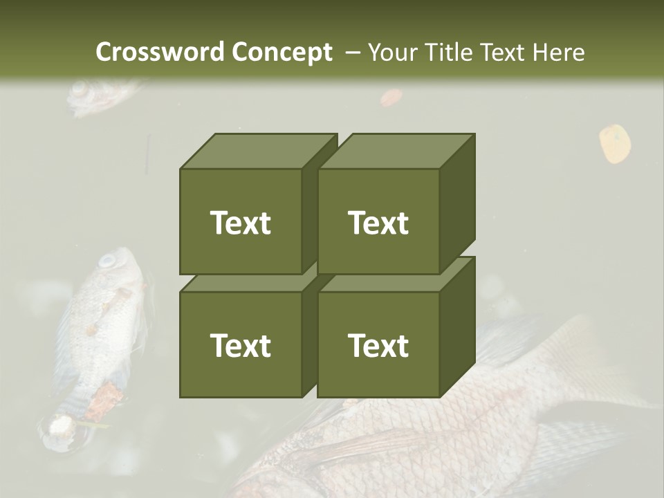 A Group Of Fish Floating On Top Of A Body Of Water PowerPoint Template