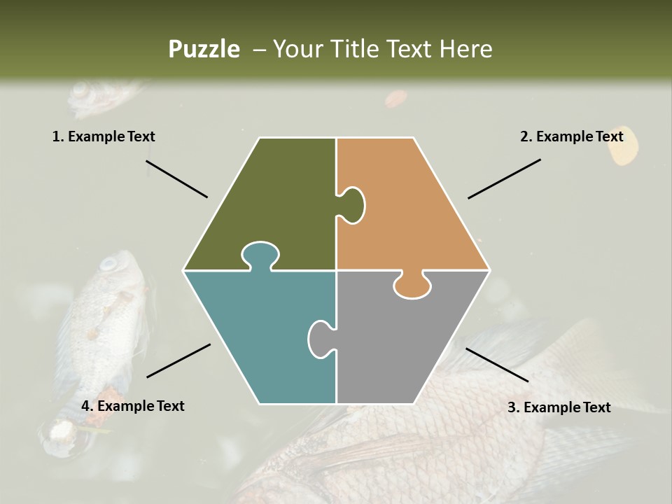 A Group Of Fish Floating On Top Of A Body Of Water PowerPoint Template