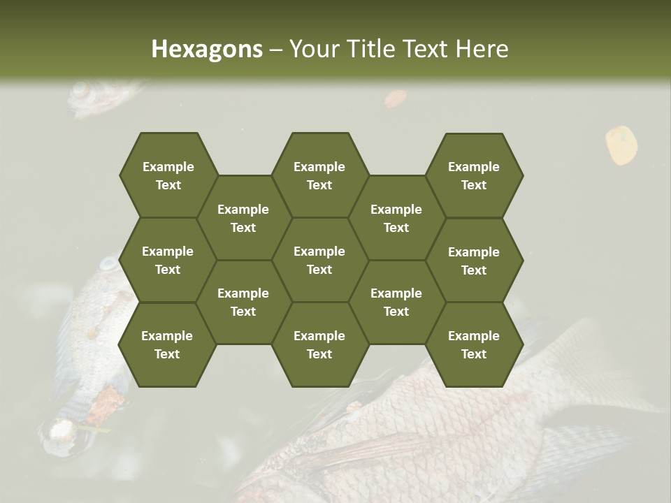 A Group Of Fish Floating On Top Of A Body Of Water PowerPoint Template