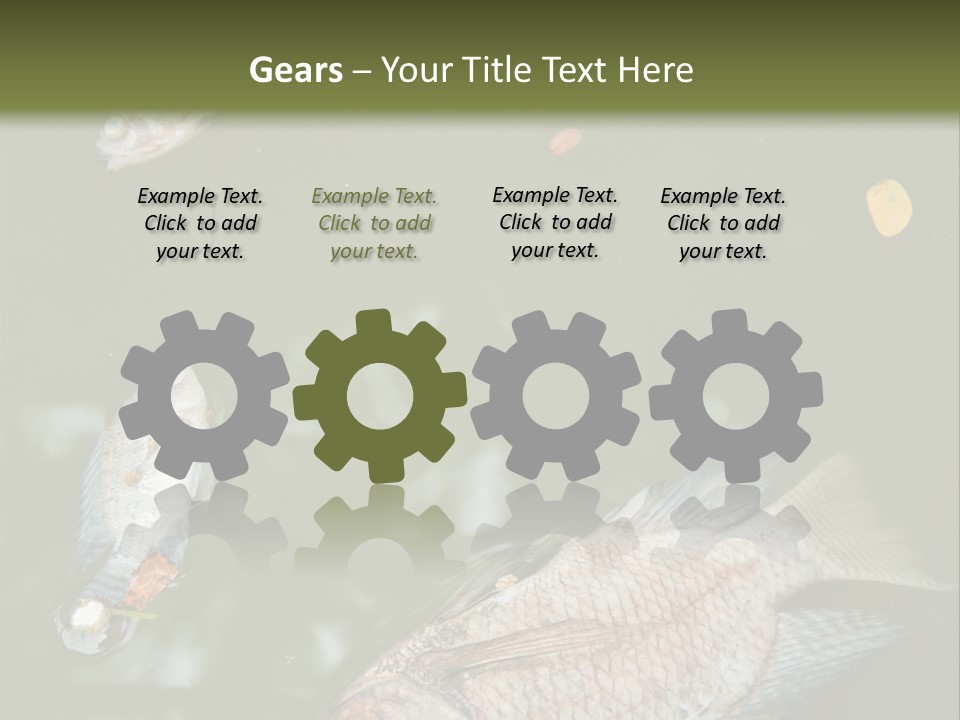 A Group Of Fish Floating On Top Of A Body Of Water PowerPoint Template